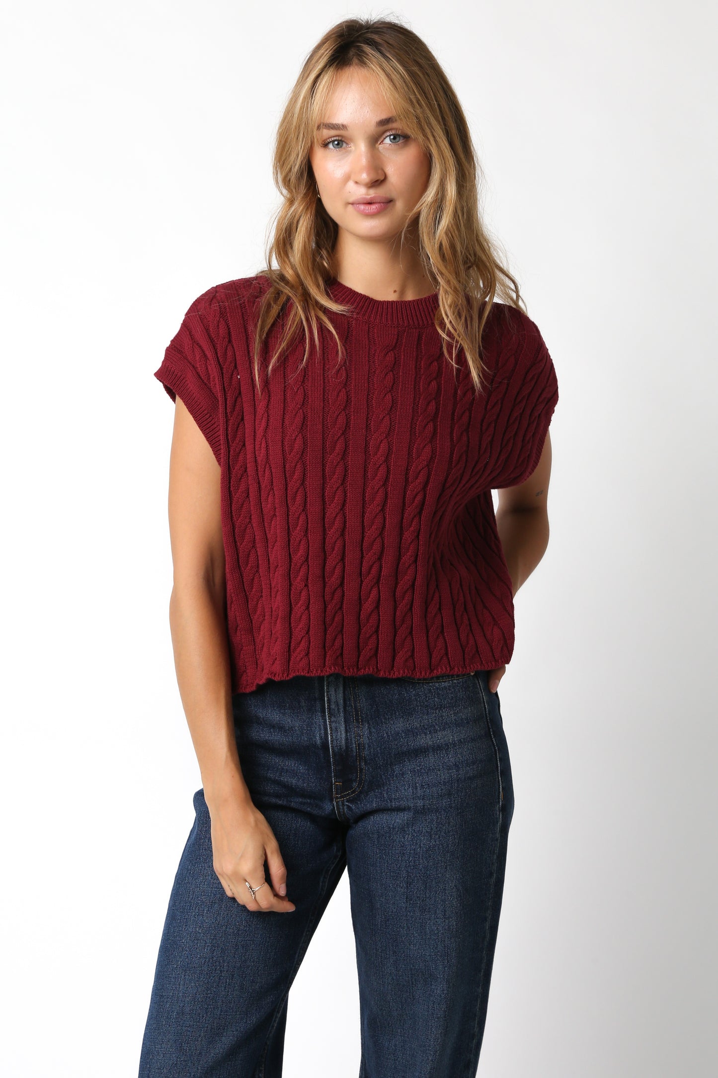 Alina Sweater Vest in Wine