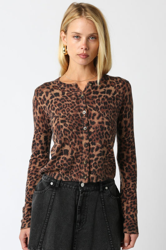 Kristine Leopard Knit Top